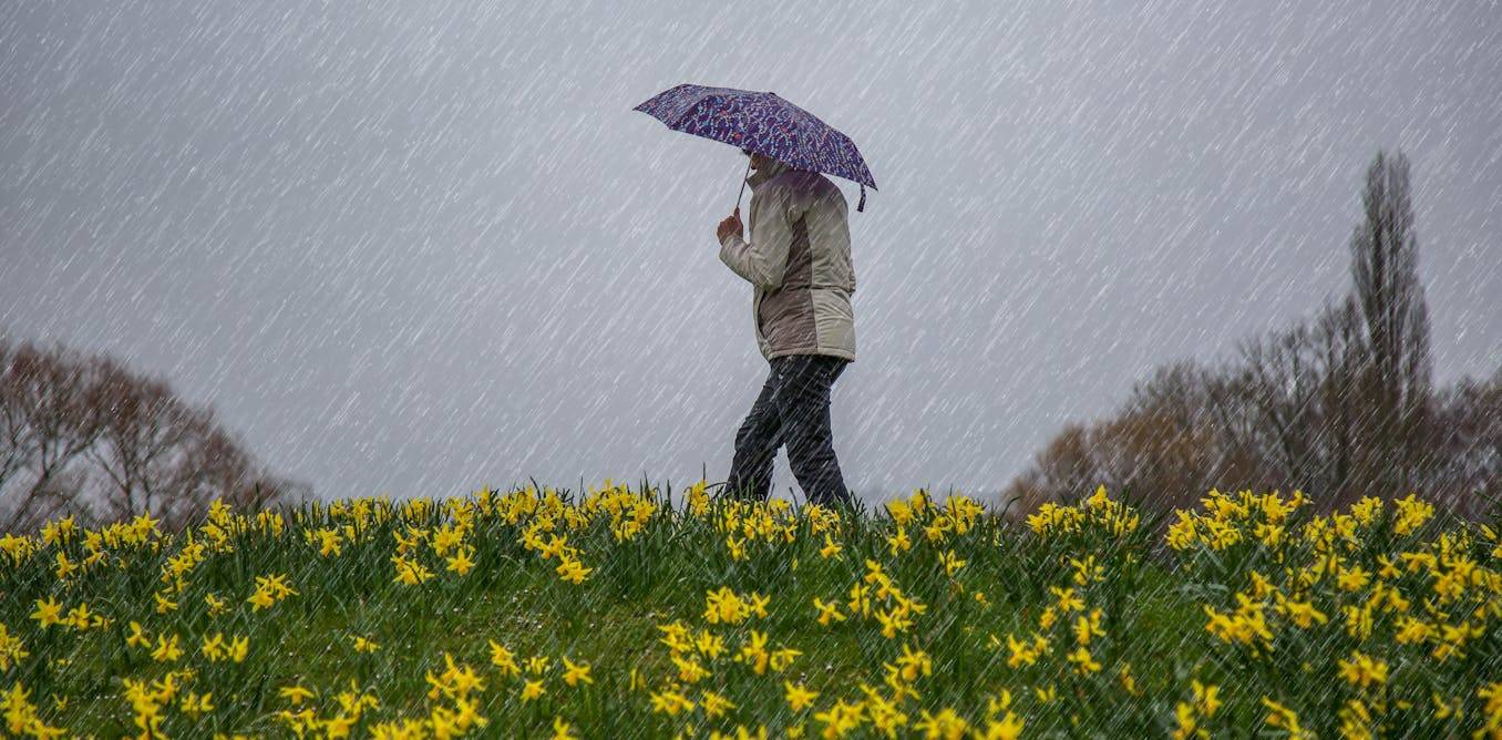 Can aching joints really predict the weather? Exploring the science behind the stormy debate
