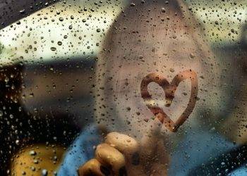 Keeping one vegetable in your car could be key to preventing condensation