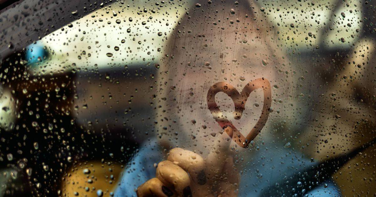 Keeping one vegetable in your car could be key to preventing condensation