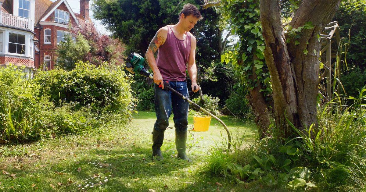 Amazon cordless strimmer that is ‘light but powerful’ reduced by £30 now