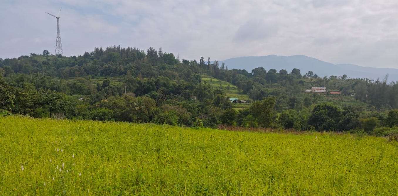 How land restoration could address malnutrition among India’s Indigenous families