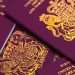 Brits burgundy passport rules for 2026 and if they are still valid