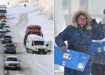 ‘Snow bomb’ that left drivers trapped in cars on M8 made worse by ‘poor leadership’