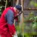 Your legal rights explained when neighbour’s garden damages your fence