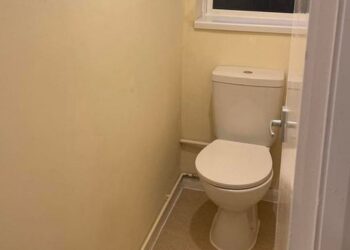 Savvy mum transforms toilet for just £235 by shopping at Home Bargains and B&M