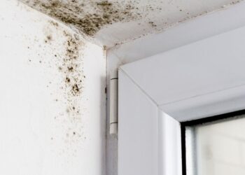 Tips on preventing condensation and black mould from spreading in your home shared by experts