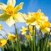 Spring equinox explained as Scots say goodbye to the cold winter months