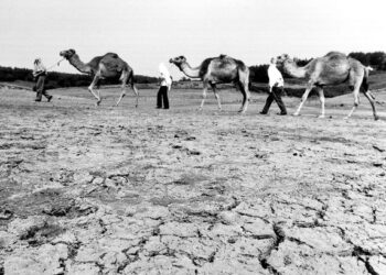 How long did the 1976 heatwave last and how hot did it get?