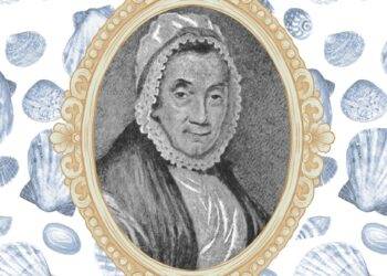 This 18th-century shell collection, saved from a skip, tells a story of empire, explorers and women’s equality