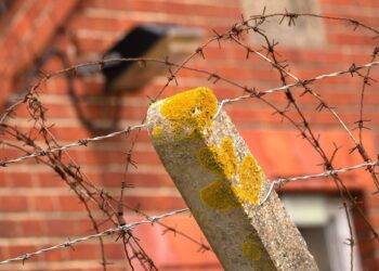 Asylum housing tycoon is among the UK’s wealthiest – here’s what conditions are like inside the properties his company runs