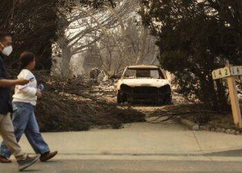 LA fires show the human cost of climate-driven ‘whiplash’ between wet and dry extremes