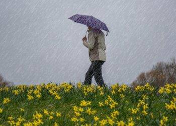 Can aching joints really predict the weather? Exploring the science behind the stormy debate