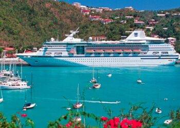 Secret cruise codes you need to know including one that means someone has died