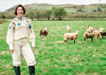 ‘I gave up English city life to move to stunning rural Wales – then disaster struck’