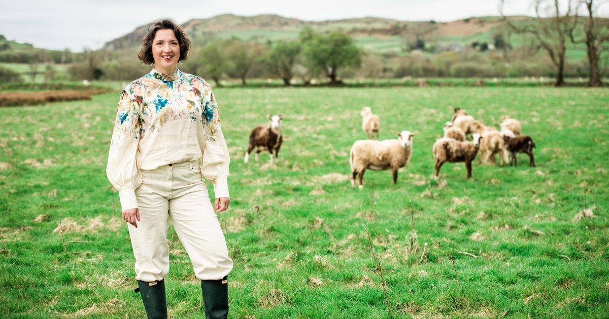 ‘I gave up English city life to move to stunning rural Wales – then disaster struck’