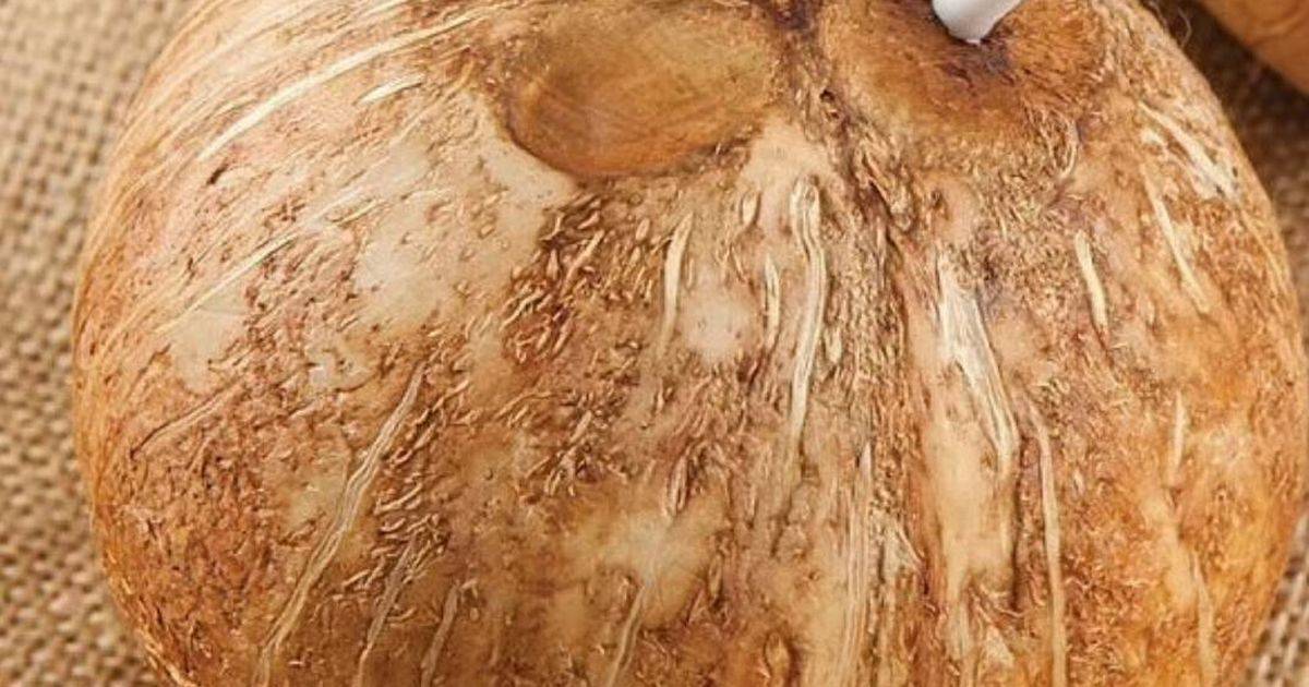 Tragedy as man dies after a sip from popular holiday drink left him with severe brain damage within hours