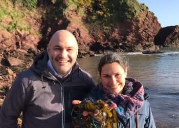 How seaweed is a powerful, yet surprising, climate solution