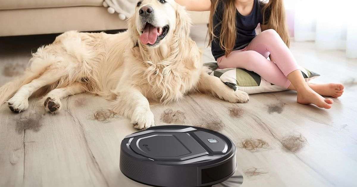 ‘Time saving’ robot vacuum drops below £100