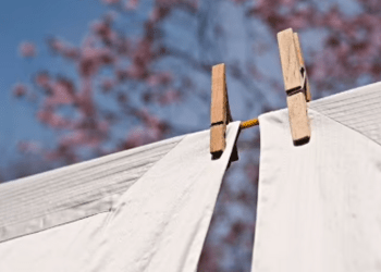 Households urged to ditch clothes pegs this summer for one important reason