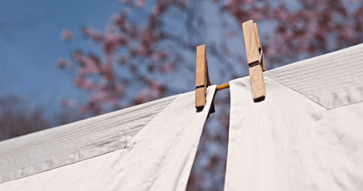 Households urged to ditch clothes pegs this summer for one important reason