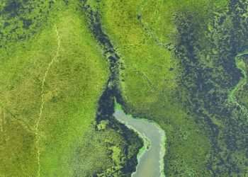 The US Environmental Protection Agency’s retreat from science endangers the health of people and the planet