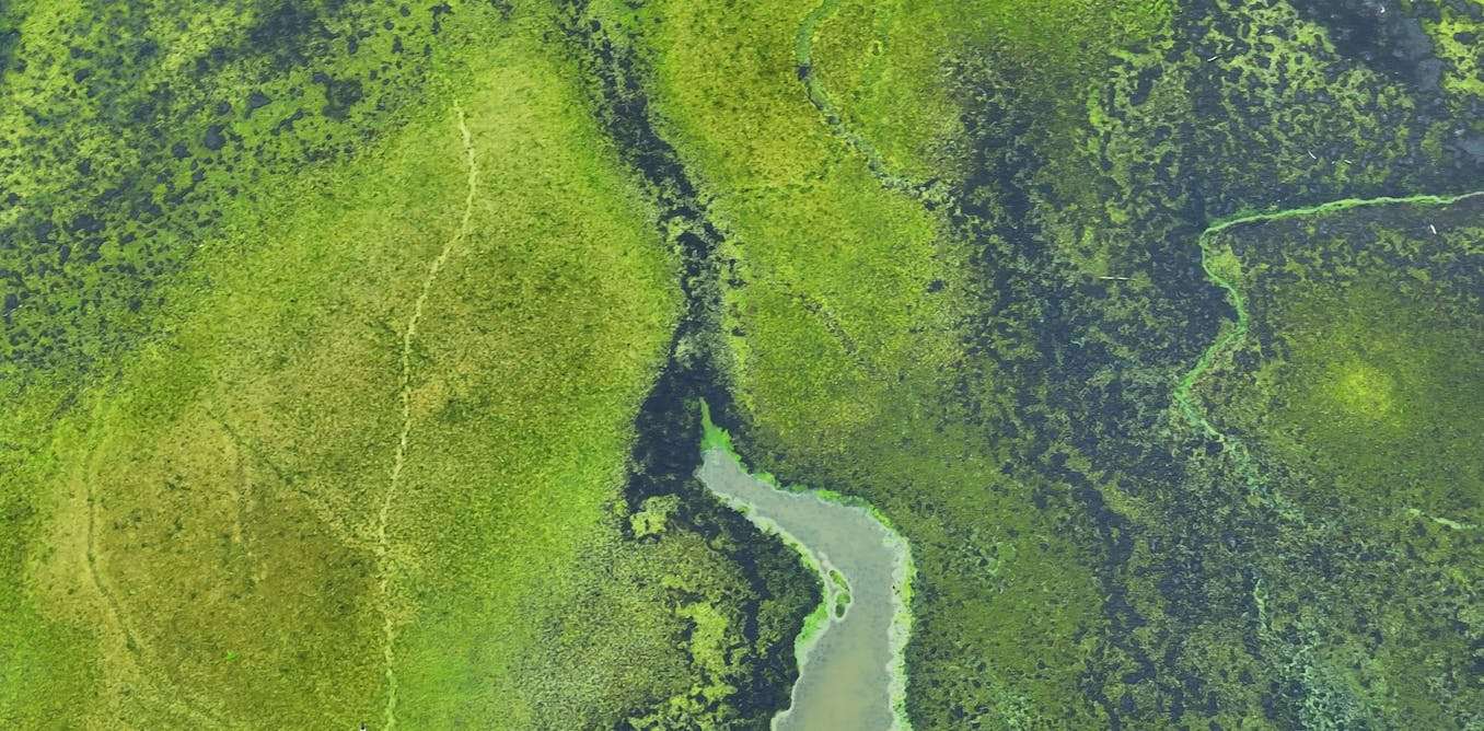 The US Environmental Protection Agency’s retreat from science endangers the health of people and the planet