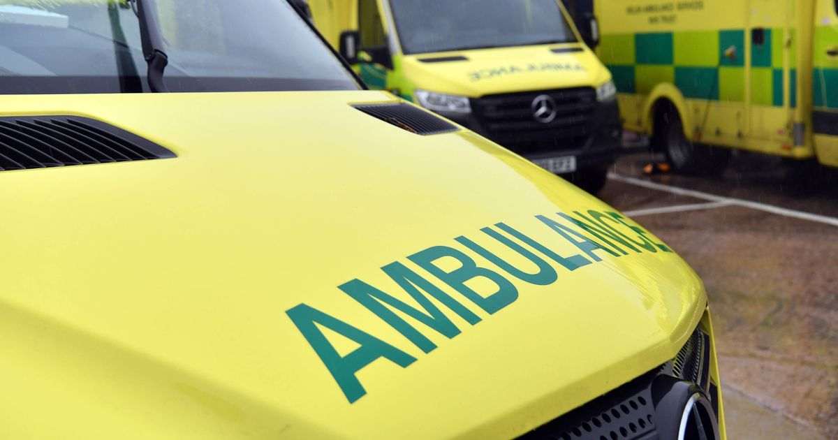 Of the 67 paramedics trained in Wales this year, only 20 have been given jobs