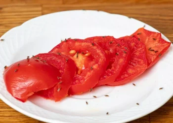 Place two ingredients on windowsill to banish fruit flies from home fast