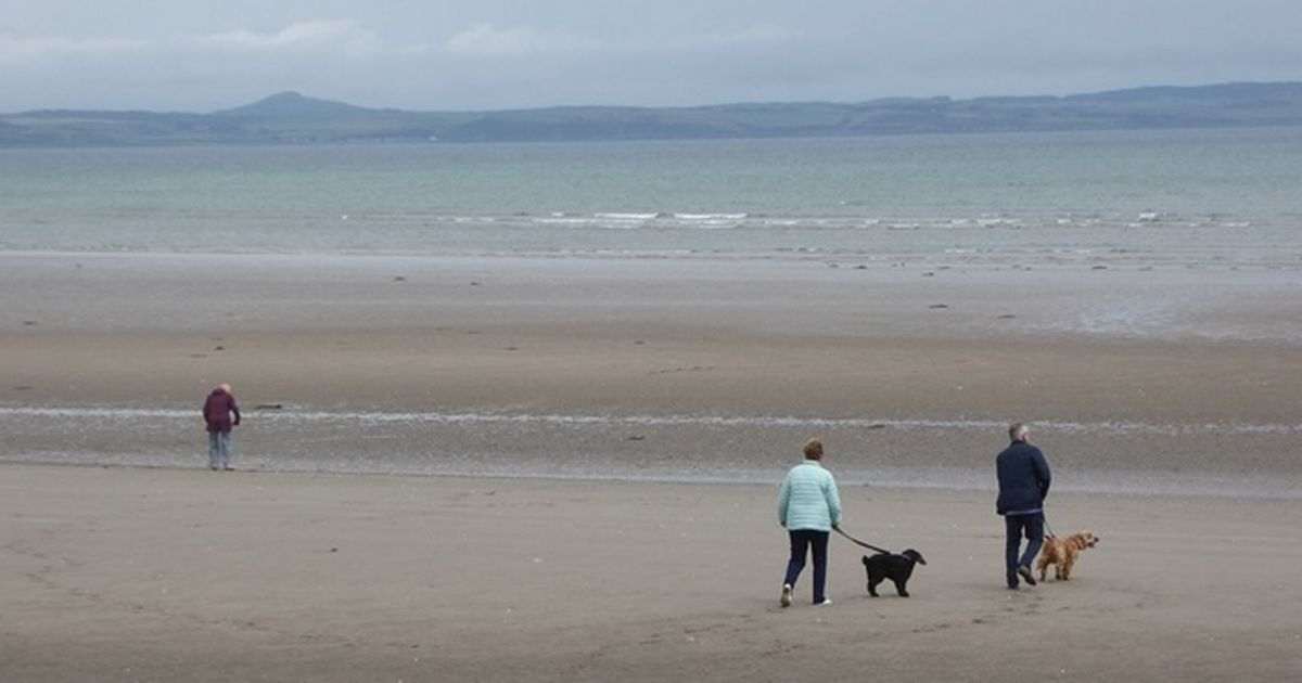 The little known Scottish beach that was named country’s ‘most dog friendly’