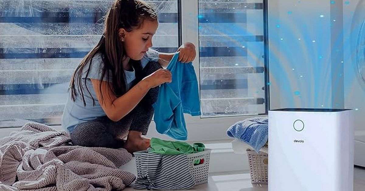 Dehumidifier that makes damp rooms ‘look and smell cleaner’ £30 off on Amazon