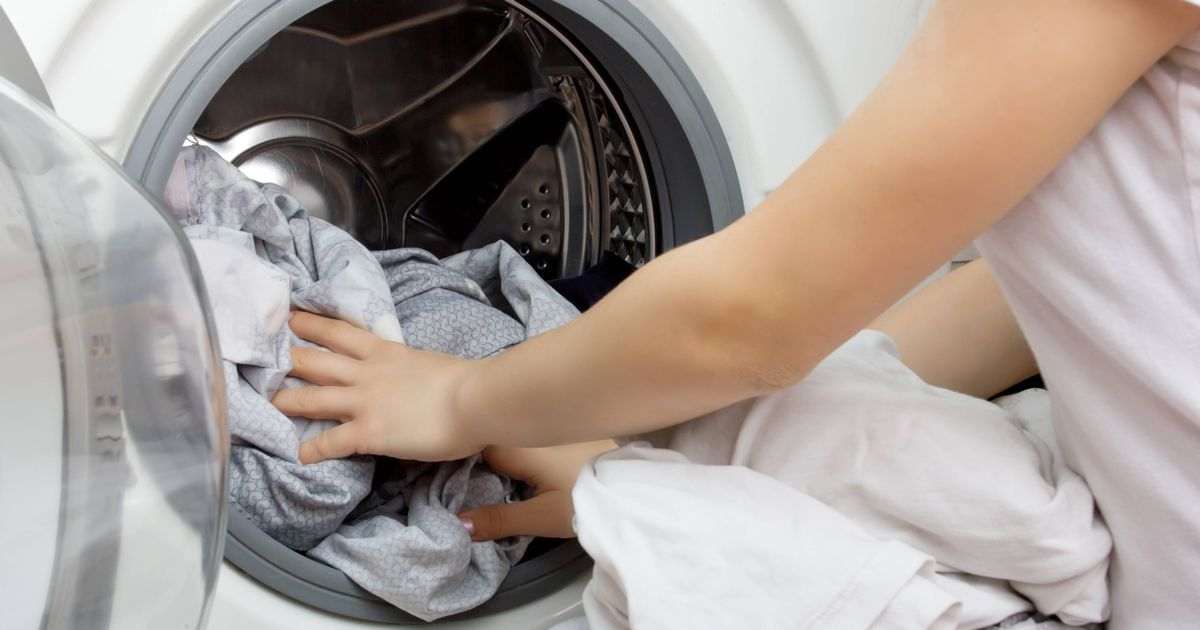Get rid of dust mites and bacteria on laundry in 1 wash by changing 1 setting
