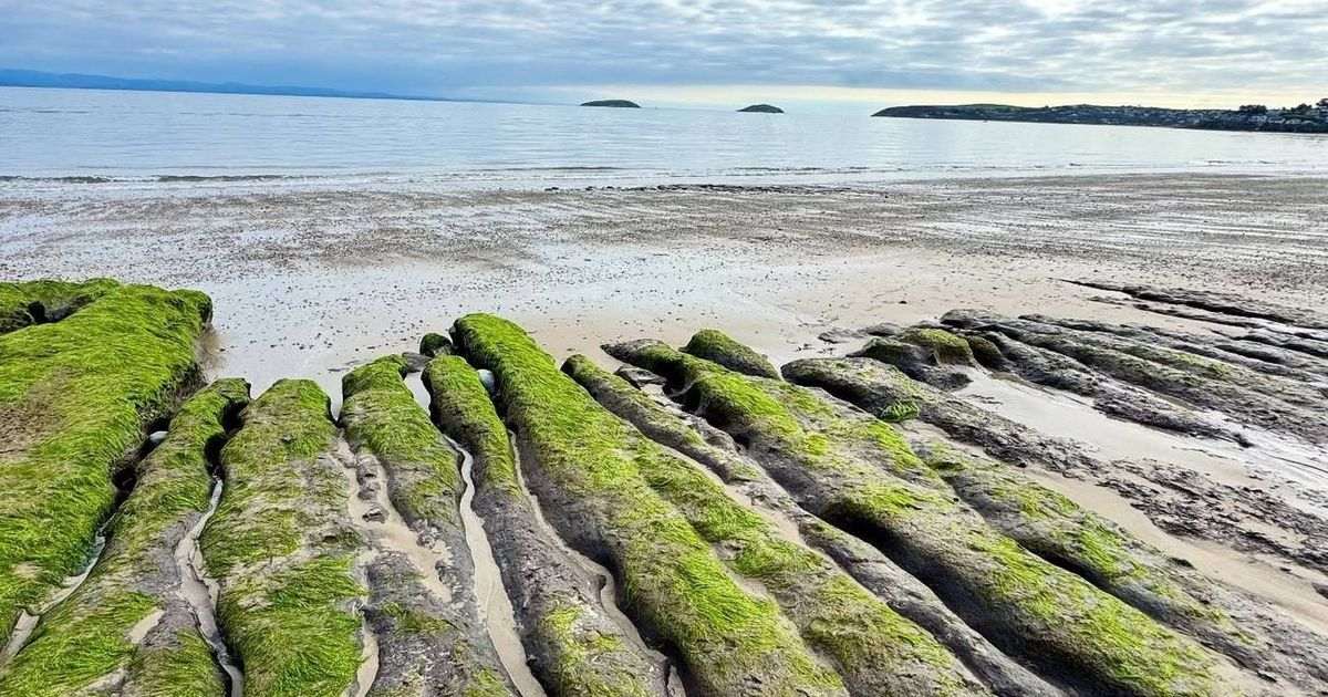 Storms reveal eerie ‘ghost’ formations and mystery wreck on Welsh beach