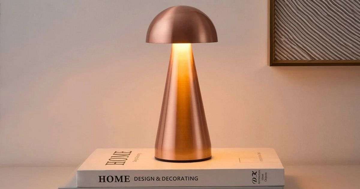 ‘Stylish’ rechargeable lamps that come in two colours cut to £15 on Dusk’s Black Friday sale