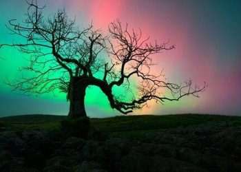 10 destinations in the UK where you can see the Northern Lights — including Scotland