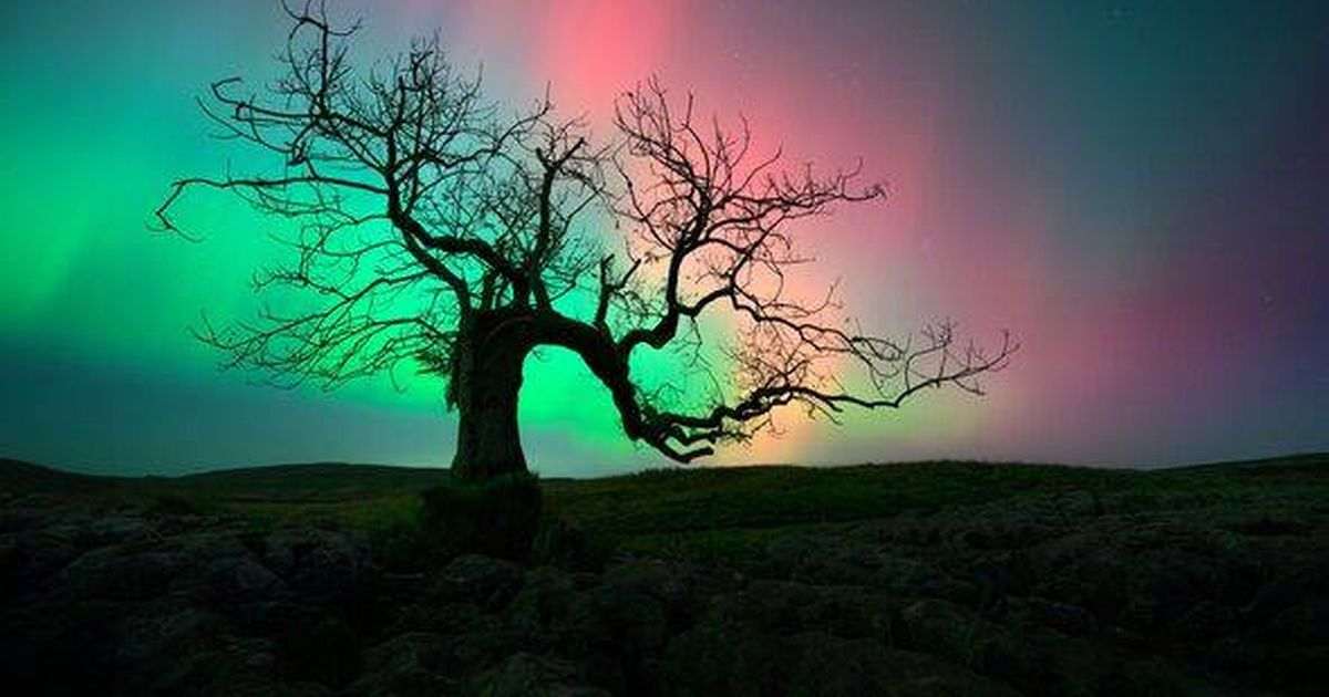 10 destinations in the UK where you can see the Northern Lights — including Scotland