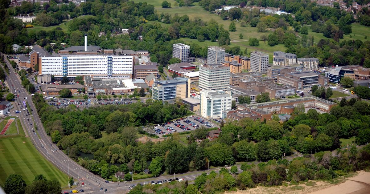 More jobs to go at Swansea University