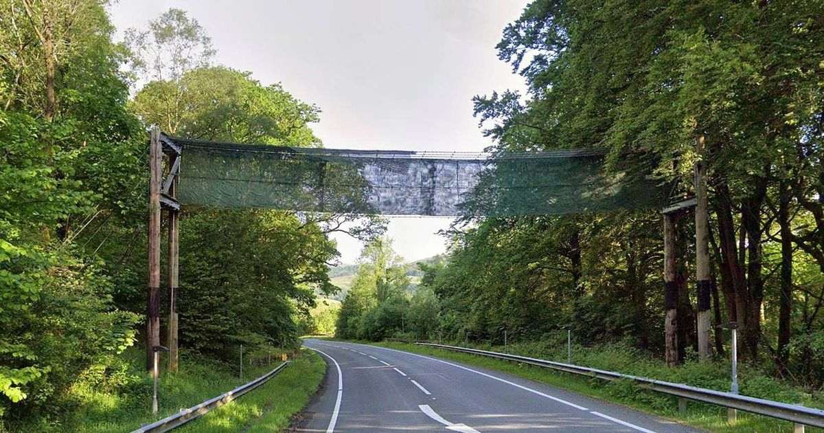 Mysterious bridge over A470 that’s baffled drivers for 13 years
