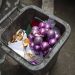 People warned not to put certain Christmas items in recycling or face huge fines