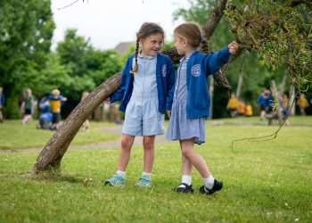 Large Welsh primary school given glowing inspection report