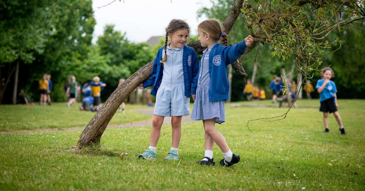 Large Welsh primary school given glowing inspection report