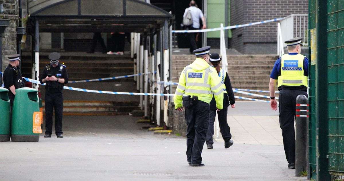 Action plan for schools to deal with weapons