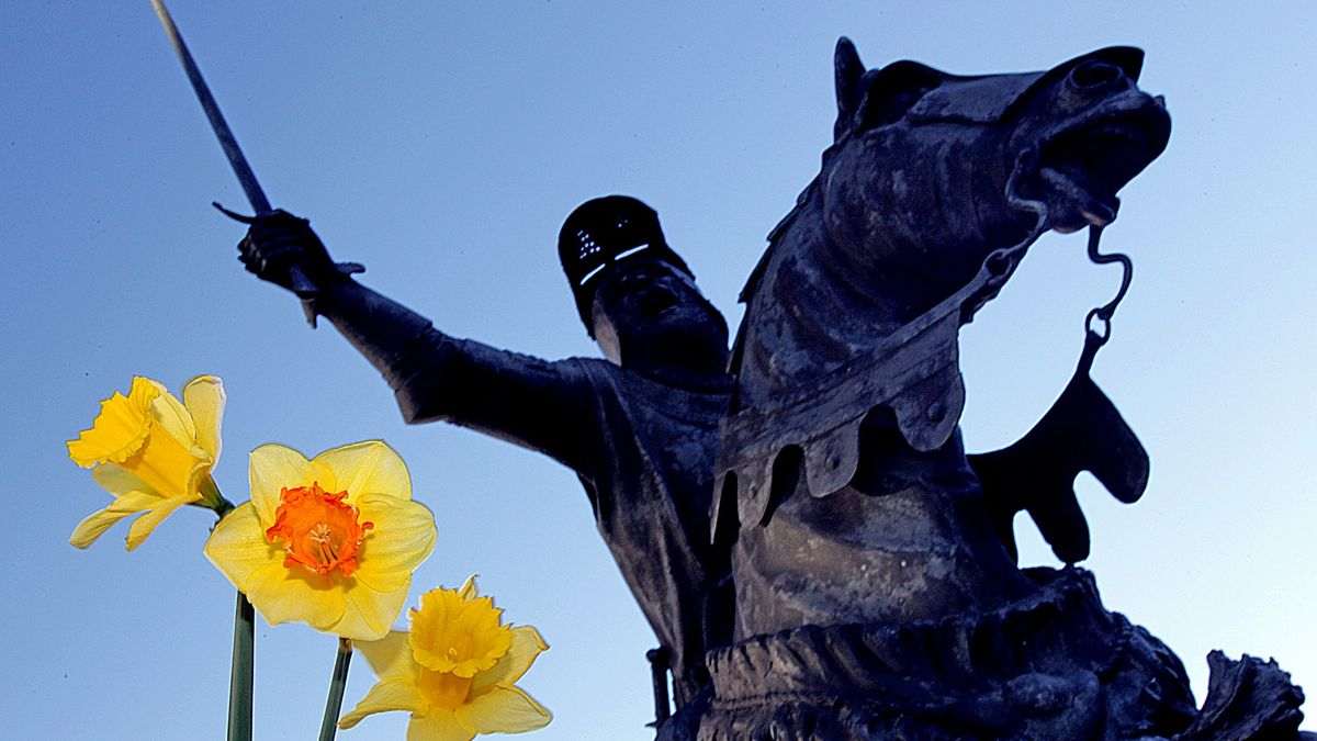 We need a plan to revive and renew struggling universities in Wales