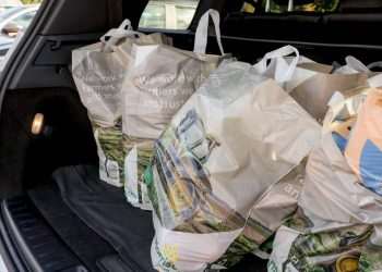 Binman finally settles debate on what to do with old carrier bags