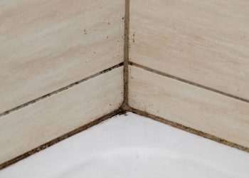 The £1 bathroom fix experts say stops black mould from ever coming back