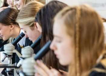 Weak science teaching hindering pupils’ progress in Welsh schools, says Estyn