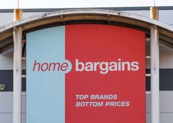 Home Bargains’ 99p ‘charming’ item brightens gardens in ‘magical’ way
