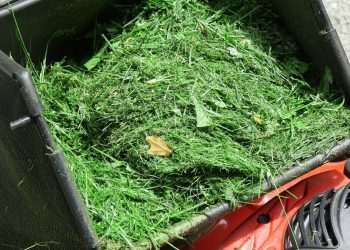Monty Don’s July warning to gardeners over grass clipping mistake
