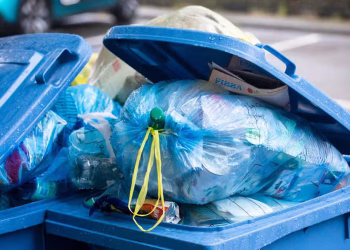 Binman says ‘we won’t take it’ if you don’t do one thing with bins